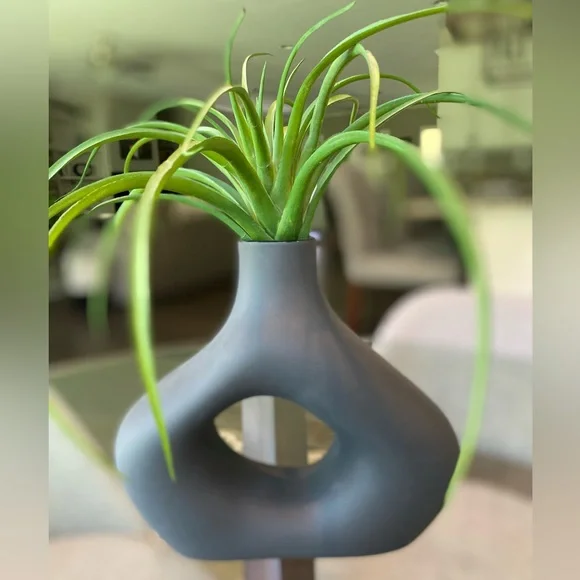 H&M Home Stoneware Modern Irregular Black Ceramic Vase Decor - Picture 7 of 10